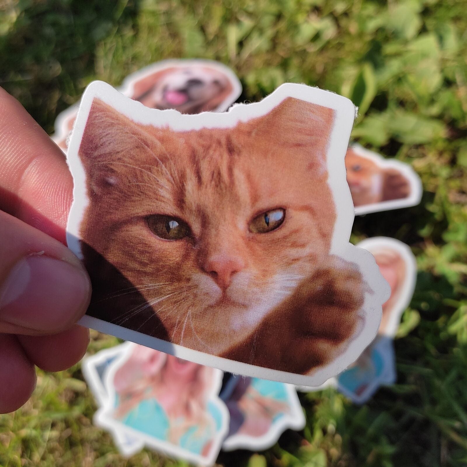 Kişiye özel kedi sticker