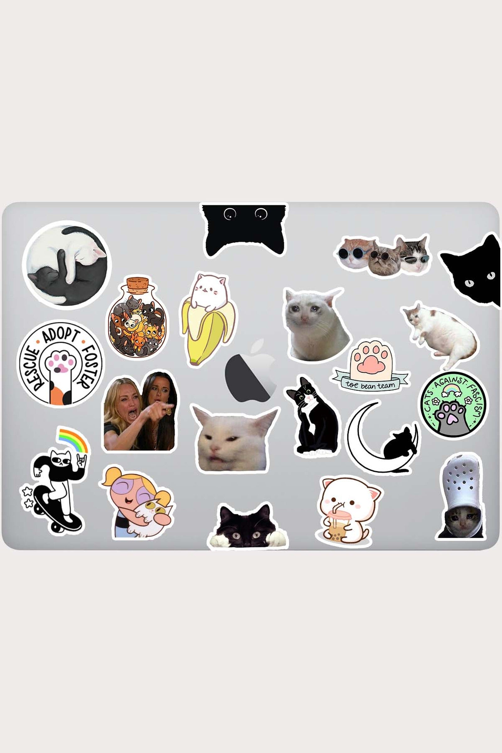 sevimli kedi sticker laptop sticker etiket