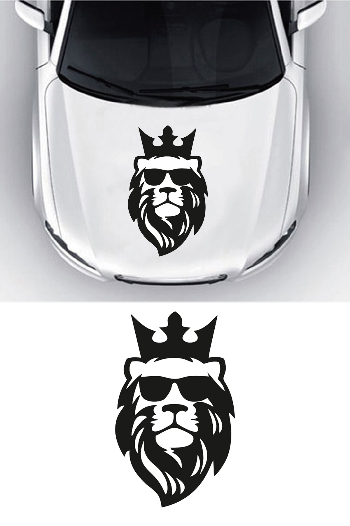 Aslan Kral Sticker
