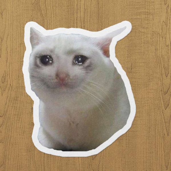 Ağlayan kedi sticker
