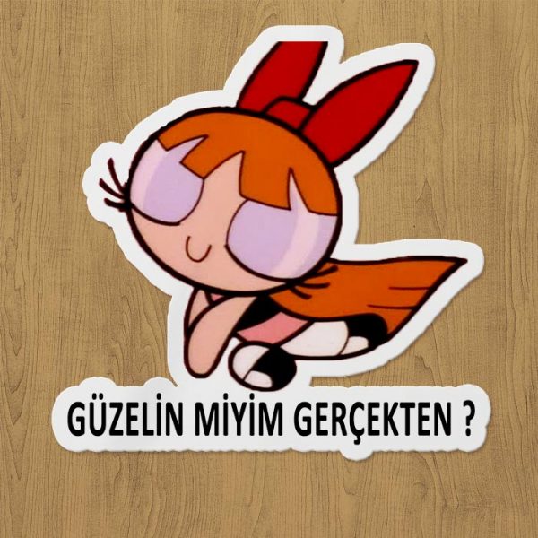 Güzelin miyim gerçekten sticker etiket