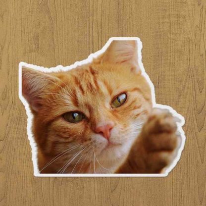 sarı kedi sticker etiket