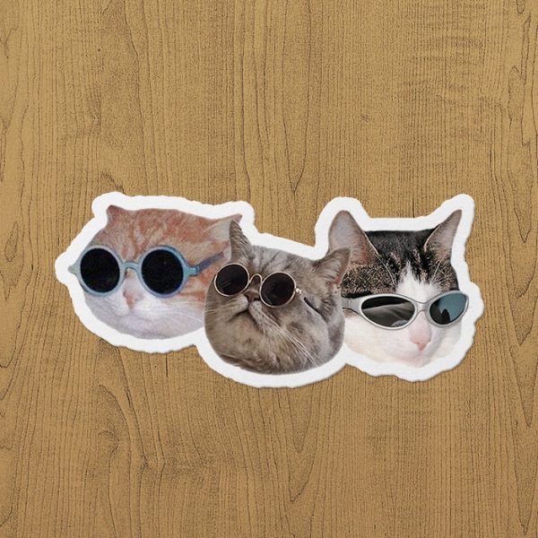 Kedi Çetesi Sticker etiket