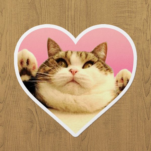 Tombiş Kedi Sticker etiket