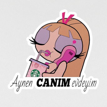 aynen canım evdeyim sticker etiket