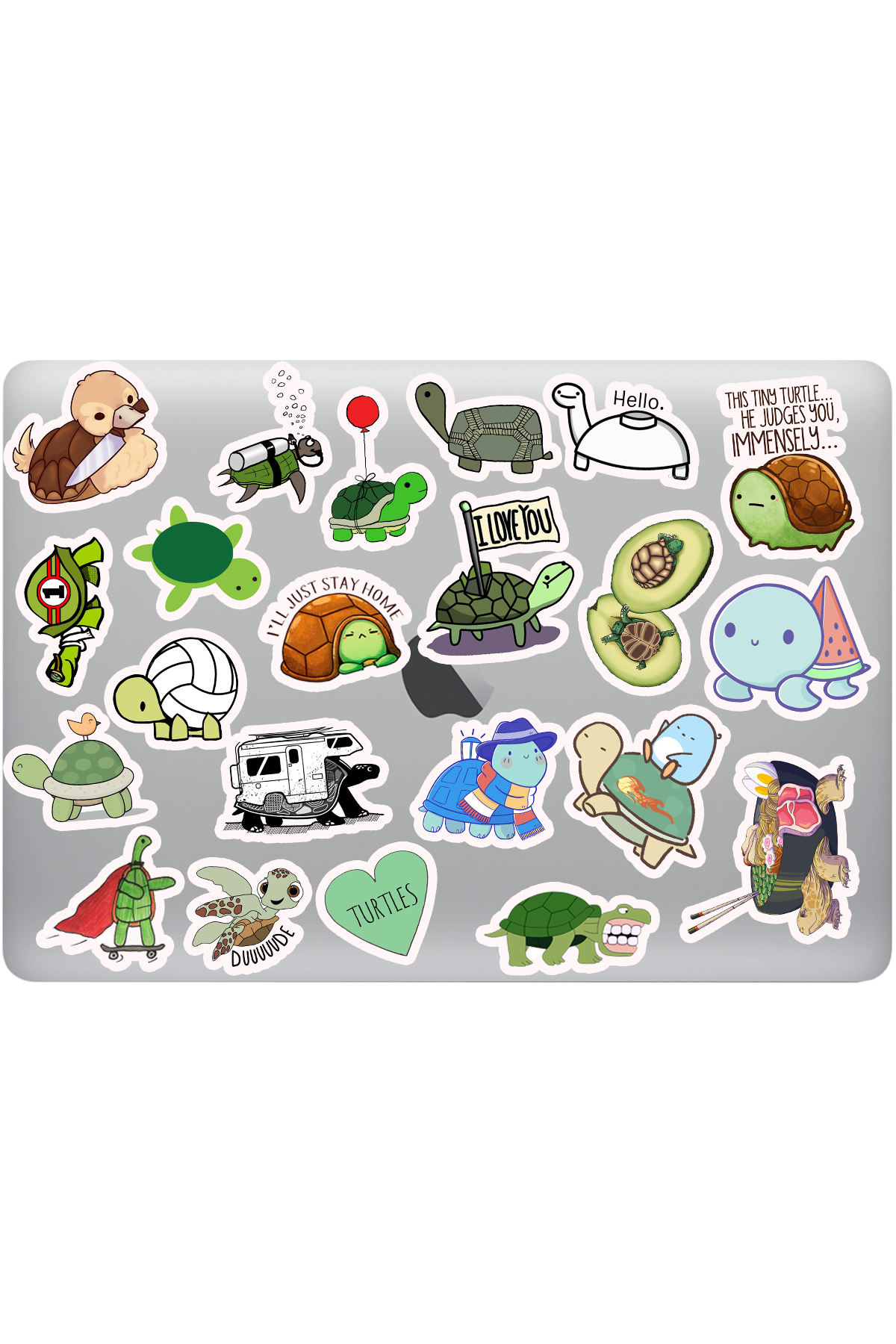 sevimli kaplumbağa sticker sevimli kaplumbağa sticker